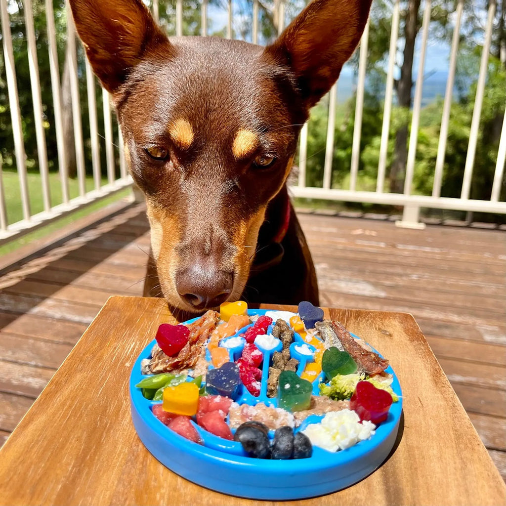Air Nylon eCoin Lick Mat for Dogs - Durable Enrichment Toy