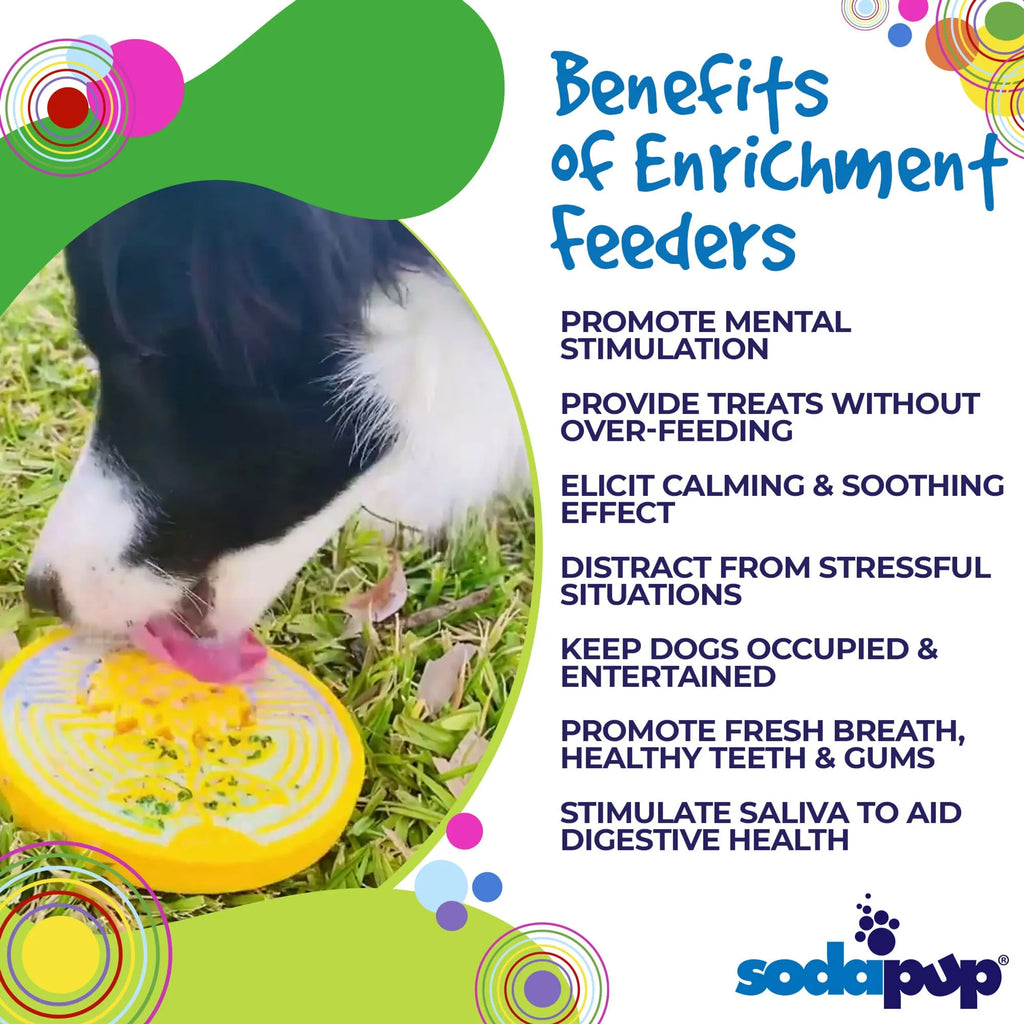 Earth eCoin Nylon Lick Mat for Dogs  Enrichment Toy