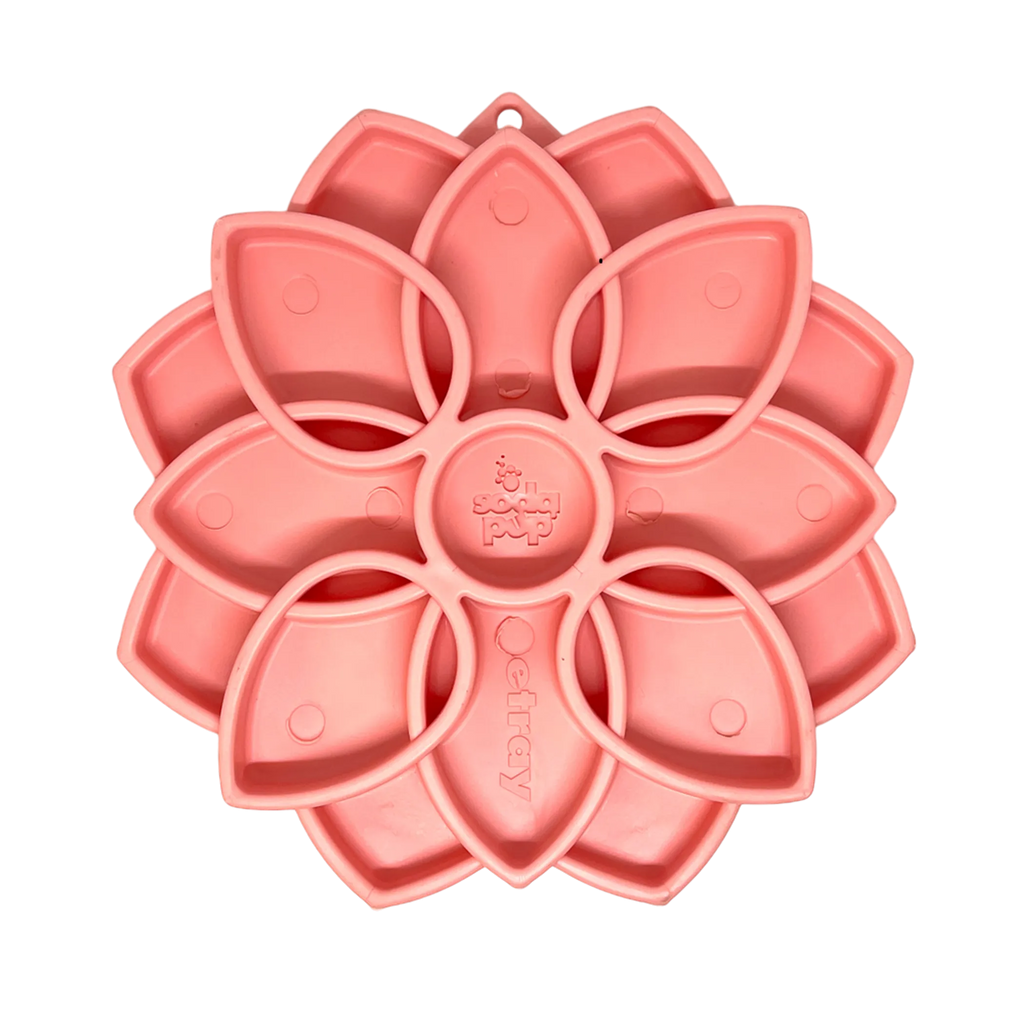 Mandala Softie eTray Shallow Slow Feeder Dog Bowl with Suction Cups