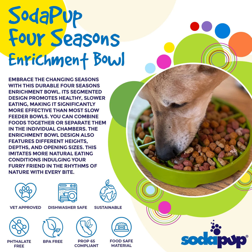 Four Seasons eTray - Shallow Slow Feeder Dog Bowl for Enrichment