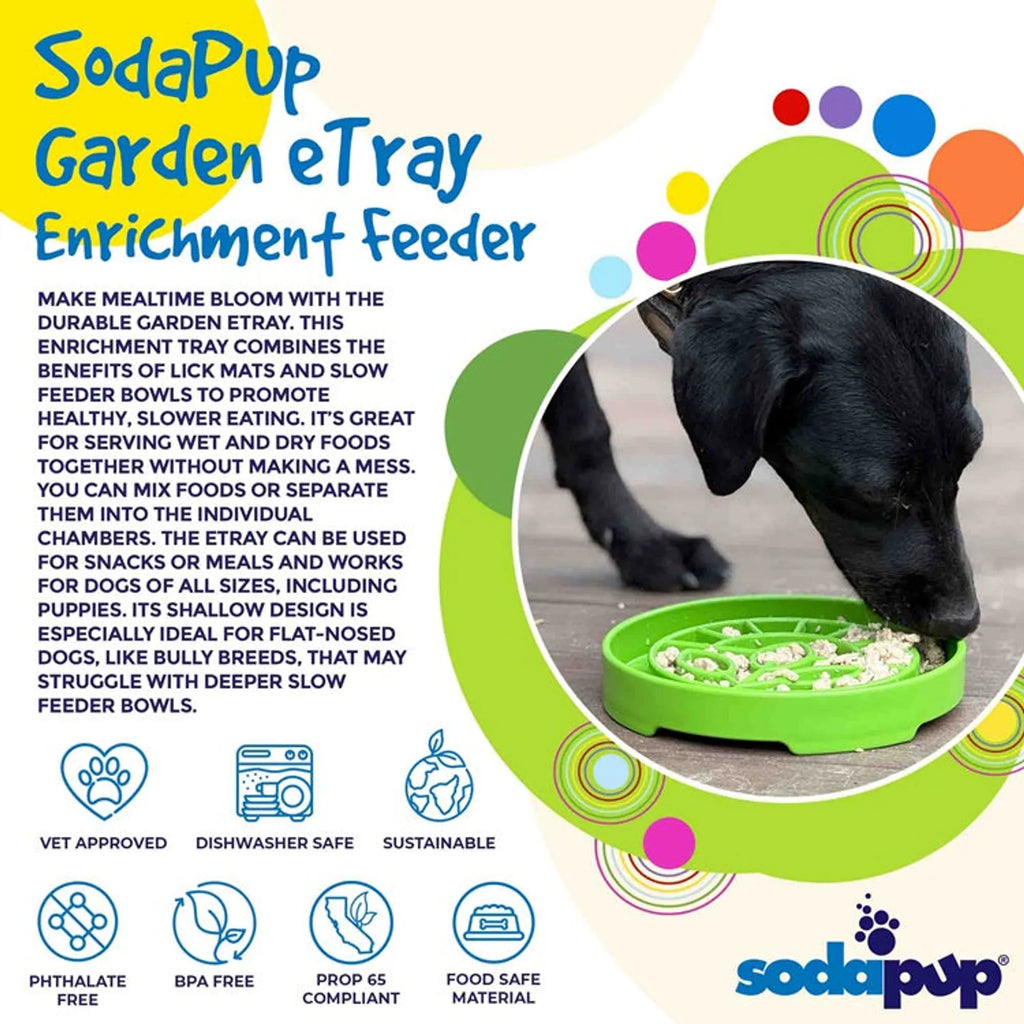 Garden Design eTray - Shallow Slow Feeder Dog Bowl for Enrichment