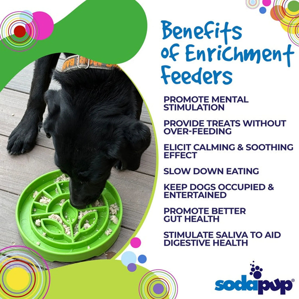 Garden Design eTray - Shallow Slow Feeder Dog Bowl for Enrichment